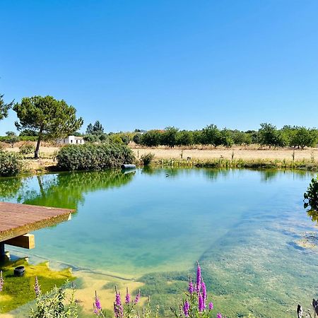Glamping On Organic Yoga Farm With Natural Swimming Pool Near Beach Moncarapacho Bagian luar foto