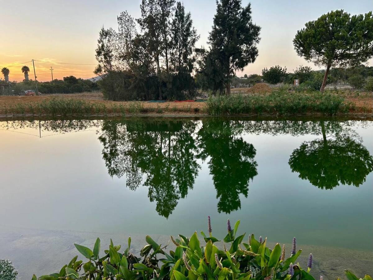 Glamping On Organic Yoga Farm With Natural Swimming Pool Near Beach Moncarapacho Bagian luar foto